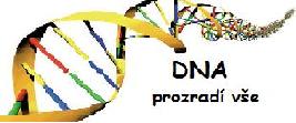 DNA