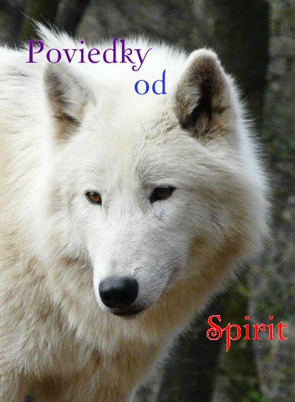 Poviedky od Spirit