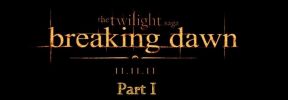 Breaking dawn - The Beginning of the End